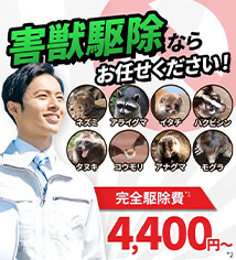 ポイント03画像