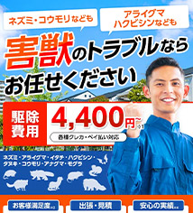 ポイント03画像