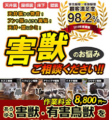 ポイント03画像