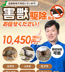 ポイント03画像