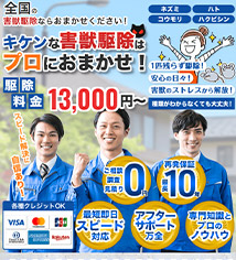 ポイント03画像